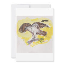 Osprey Greeting Card