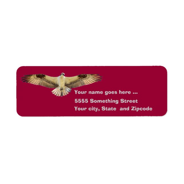 Osprey hawk flying Return Address Labels (Front)