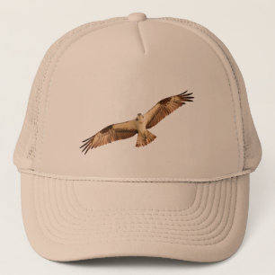 Osprey Hawk Hat