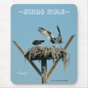 Osprey hawk nest Mousepad
