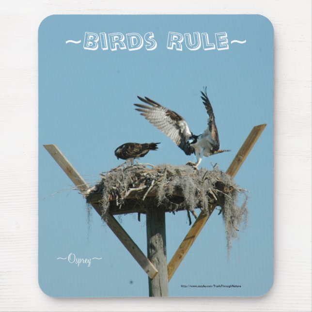 Osprey hawk nest Mousepad (Front)