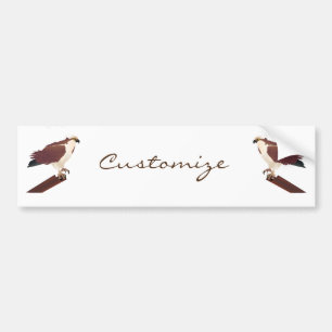 Osprey Hawk Raptor Thunder_Cove Bumper Sticker