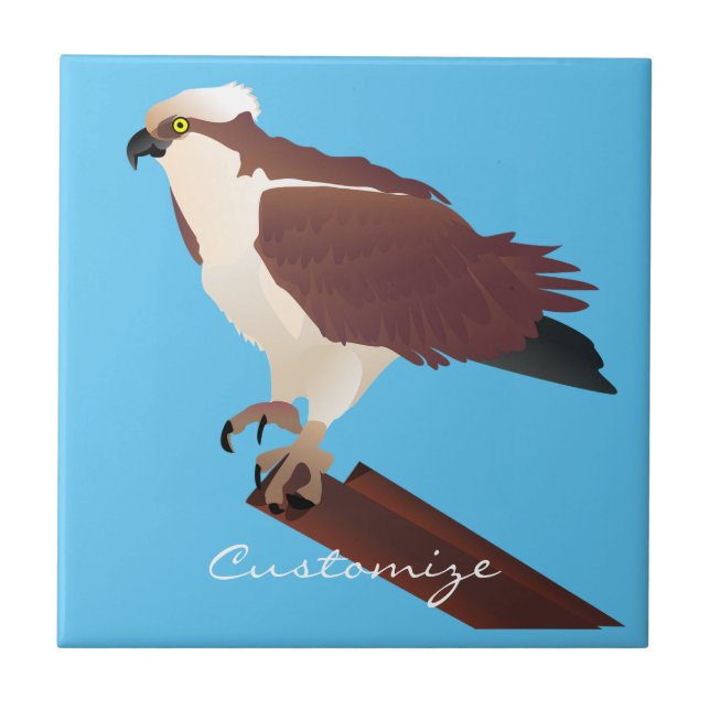 Osprey Hawk Raptor Thunder_Cove Ceramic Tile (Front)