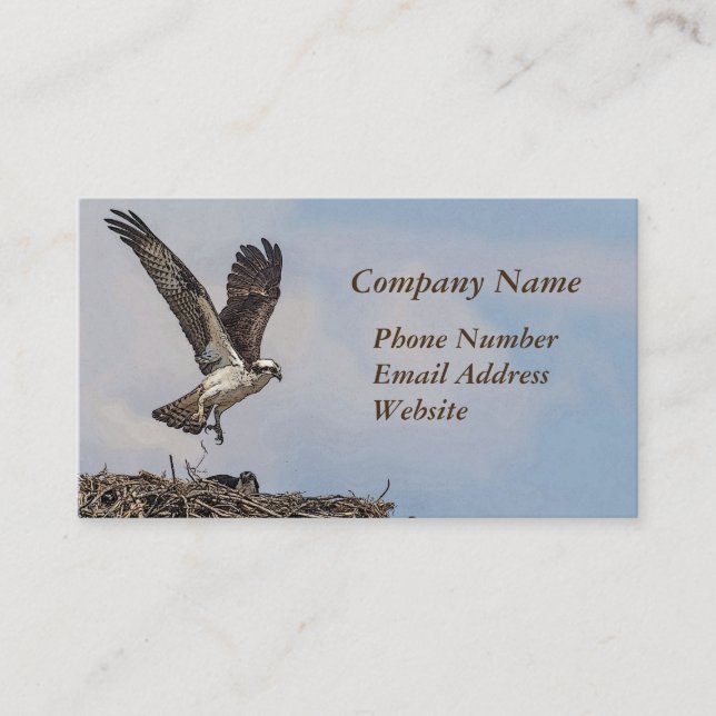 Osprey in a nest business card (Front)