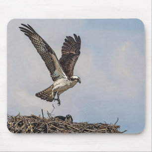Osprey in a nest mouse pad