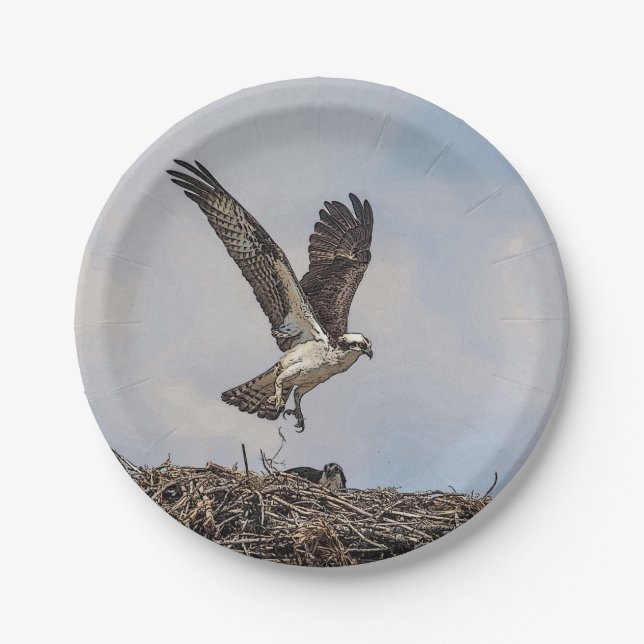 Osprey in a nest paper plate (Front)