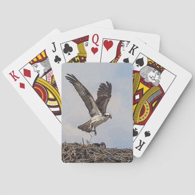 Osprey in a nest playing cards (Back)