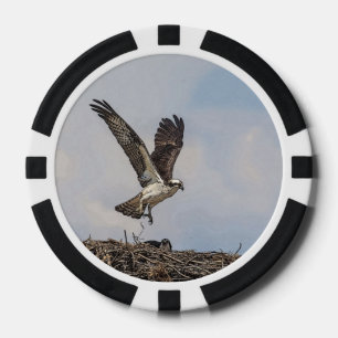 Osprey in a nest poker chips