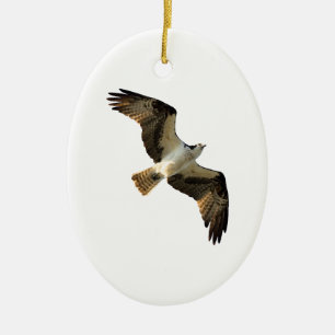 Osprey in Flight Logo Ceramic Tree Decoration