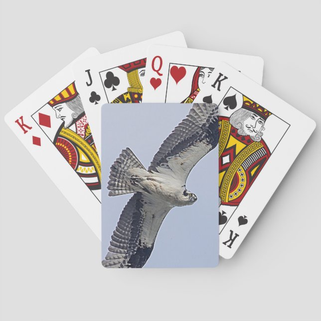 Osprey in flight playing cards (Back)