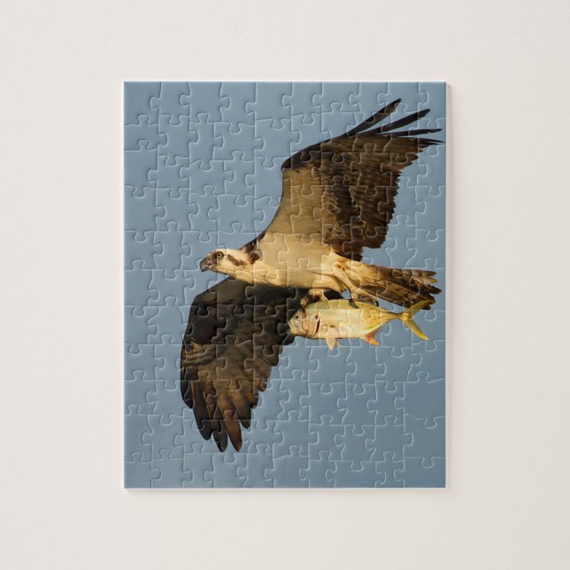 Osprey Jigsaw Puzzle (Vertical)