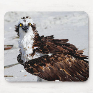 Osprey Mouse Pad