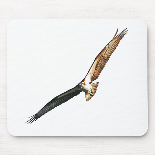 Osprey Mouse Pad (Front)