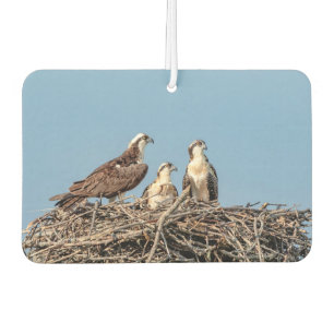 Osprey mum with her kids car air freshener