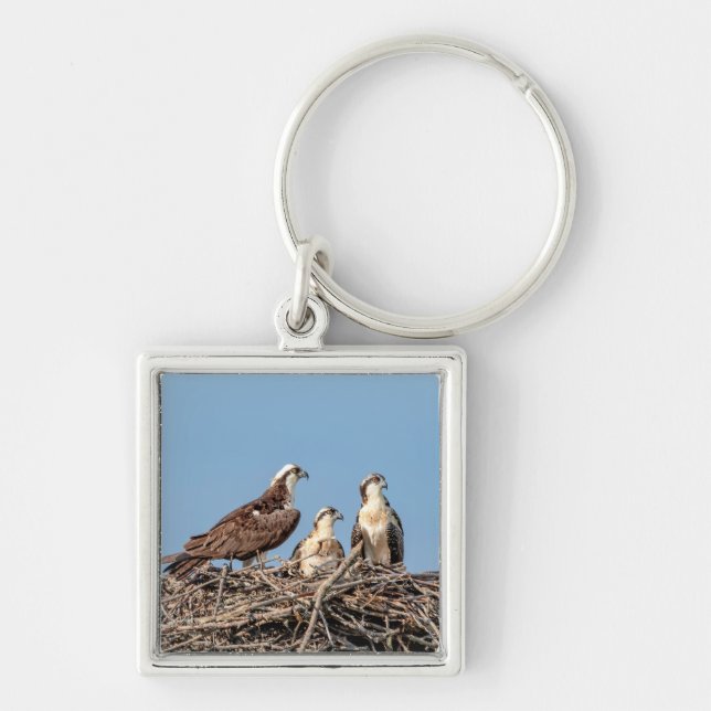 Osprey mum with her kids key ring (Front)