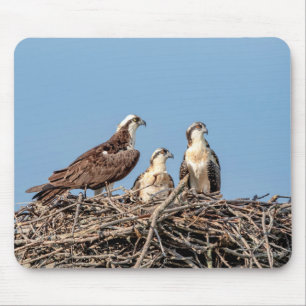 Osprey mum with her kids mouse pad