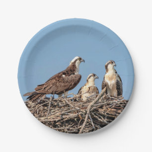 Osprey mum with her kids paper plate