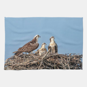 Osprey mum with her kids tea towel