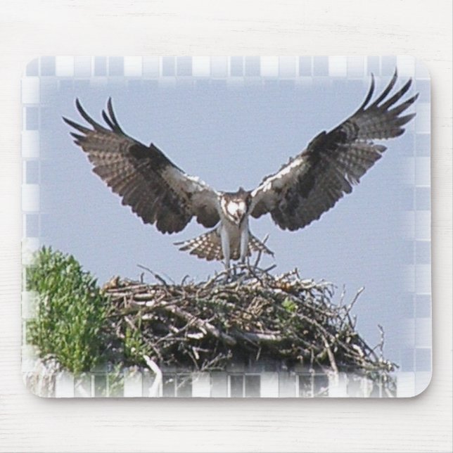 Osprey Nest Mouse Pad (Front)