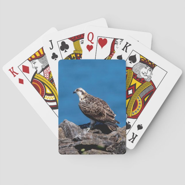Osprey on the rocks playing cards (Back)