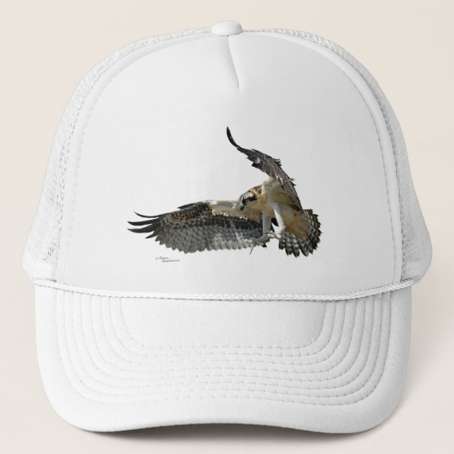 Osprey or hawk flying Hat (Front)