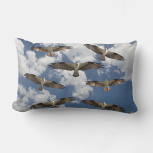 Osprey parade in the sky lumbar cushion