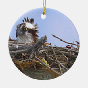 Osprey Photo Ornament