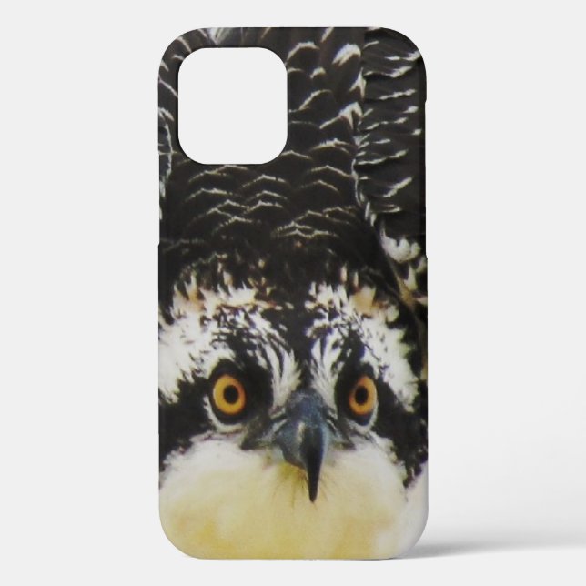Osprey Up Close- iPhone 12 Tough Case (Back)