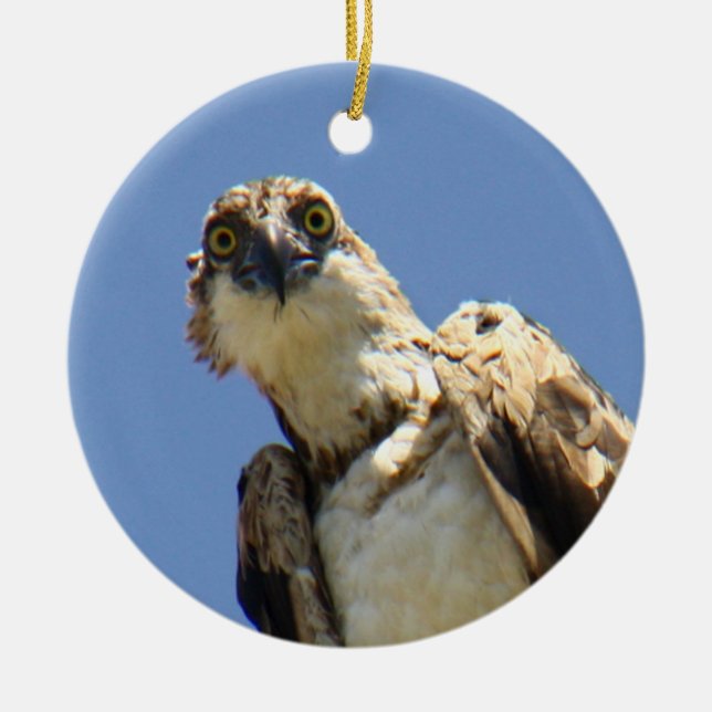 Osprey Watching Ceramic Tree Decoration (Front)