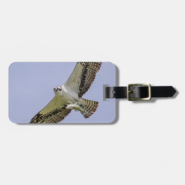 Osprey with a fish luggage tag (Front Horizontal)