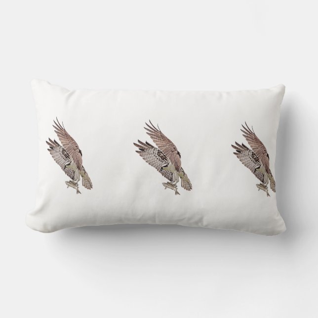 Osprey with a fish lumbar cushion (Front)