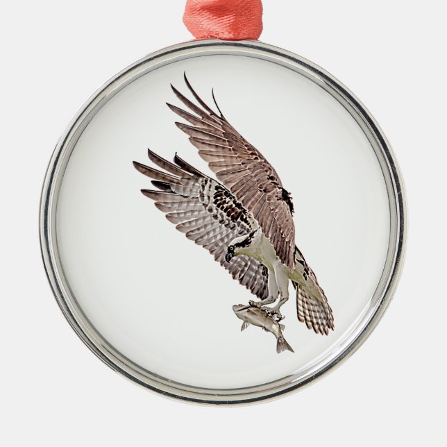 Osprey with a fish metal ornament (Front)