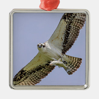 Osprey with a fish metal ornament