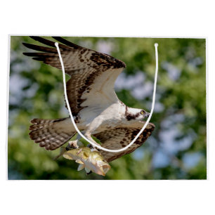 Osprey with a large mouth bass gift bag