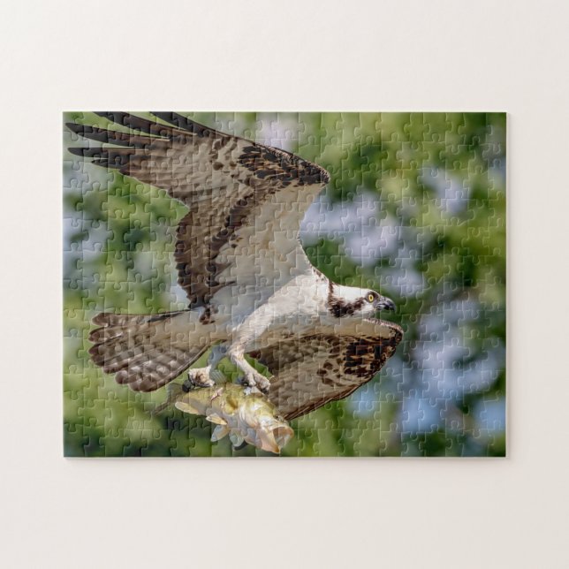 Osprey with a large mouth bass jigsaw puzzle (Horizontal)