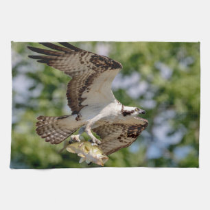 Osprey with a large mouth bass tea towel