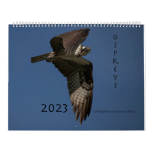 Ospreys In Action 2023 Calendar