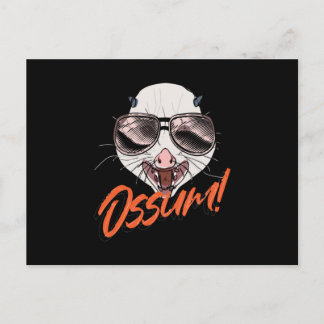 Ossum Possum Opossum Gopher Postcard