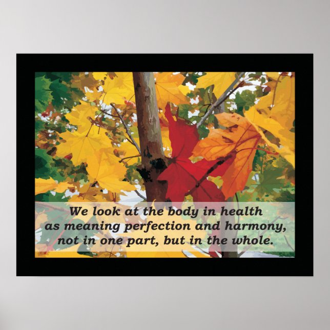 Osteopathic Harmony Quote by A.T. Still Poster (Front)