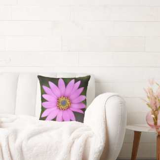 Osteospermum Cushion