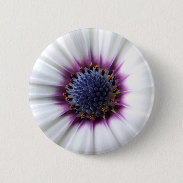 Osteospurmum Button (Front)