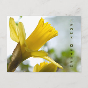 Osterglocke • Oster-Postkarte Postcard