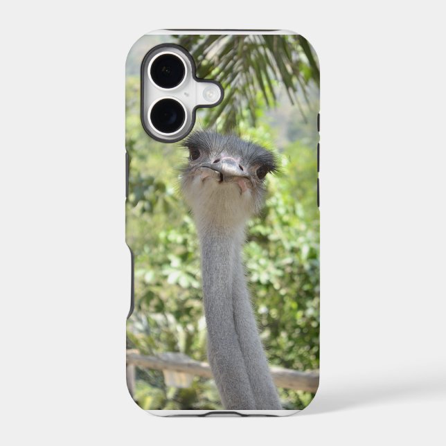 Ostrich (Back)