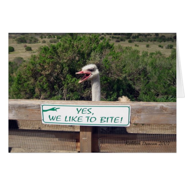 Ostrich (Front Horizontal)