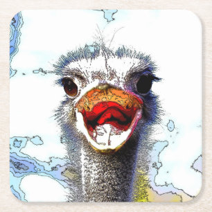Ostrich20150701 Square Paper Coaster