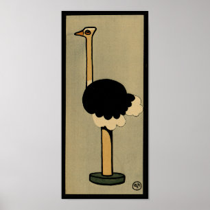 Ostrich - Antiquarian, Colourful Book Illustration Poster