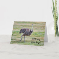 Ostrich Art Bird Cute Pun Birthday Card
