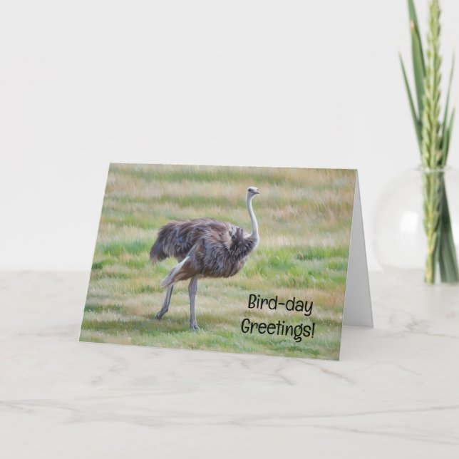 Ostrich Art Bird Cute Pun Birthday Card (Front)