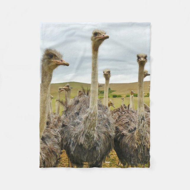 Ostrich Bird Fleece Blanket (Front)