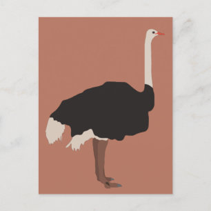 Ostrich Bird Illustration Holiday Postcard